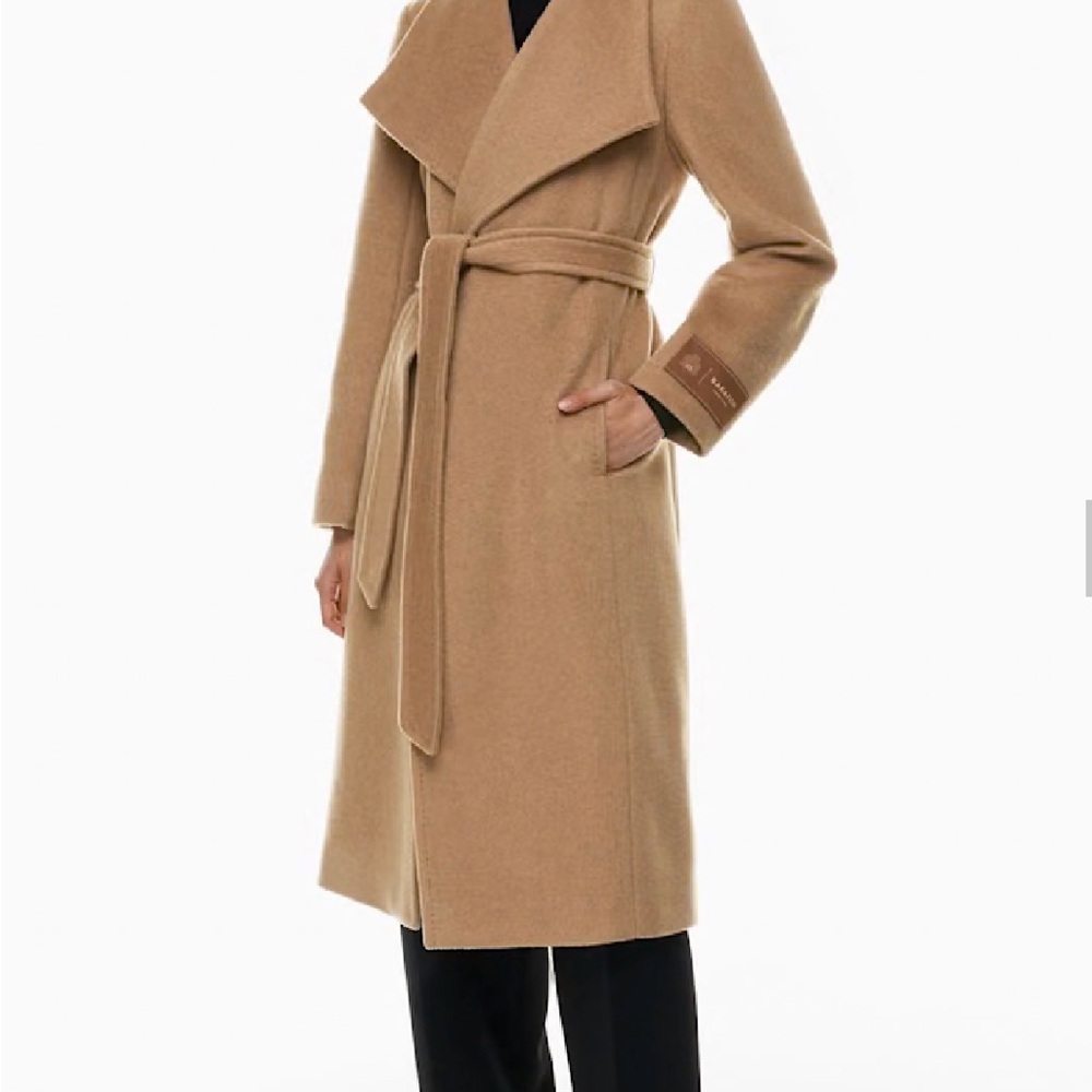 Aritzia Montage Coat